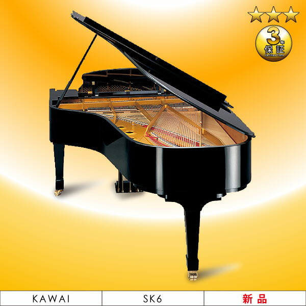 ViOhsAm@KAWAI(JCjSK-6yԌ VisAmLy[z6_Zbg+gm[v[g!!